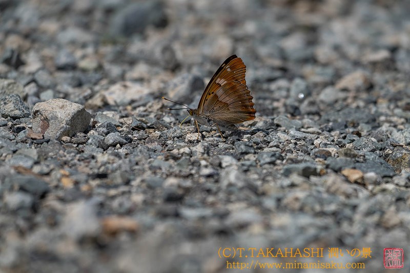 ../Images/7R250719 (96).jpg